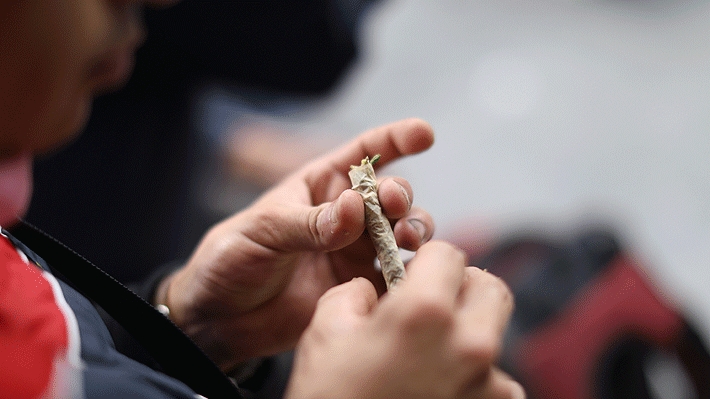 Estudio de Senda demuestra que consumo de marihuana en chilenos disminuyó en un 10,2% entre 2018 y 2020
