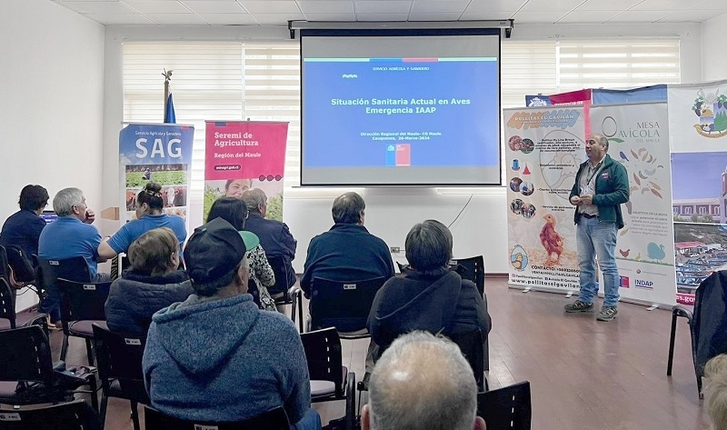 Difunden seguro avícola como parte de la estrategia de protección ante Influenza Aviar