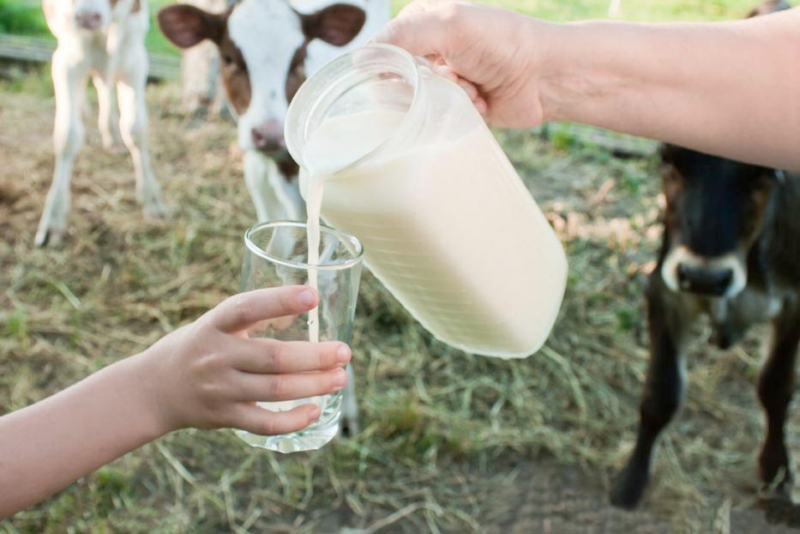 Nutricionista de la UCM explicó los beneficios de la leche de vaca y no recomendó la leche vegetal en niños