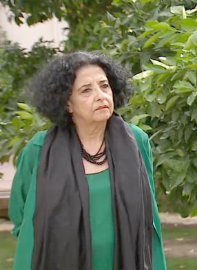 Premio Nacional de Periodismo Faride Zerán será la nueva presidenta del CNTV