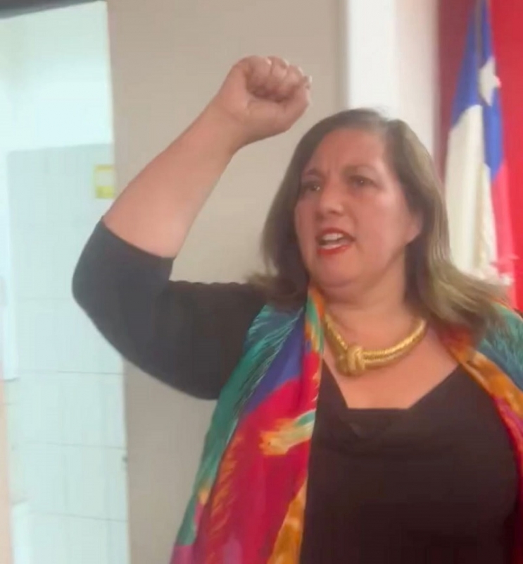 Paulina Vodanovic: “El PS está molesto y dolido con el FA”