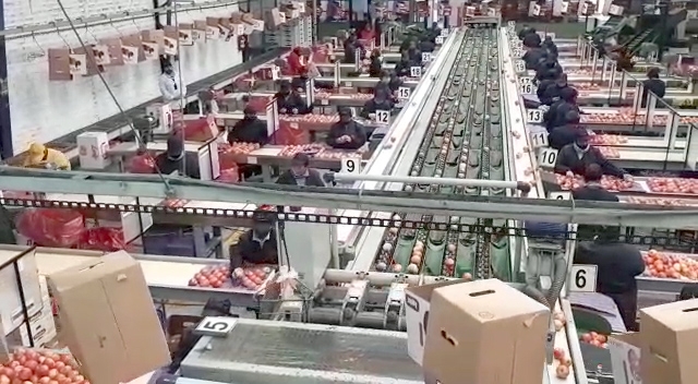 INE Maule entregó información sobre exportaciones regionales en julio de 2022