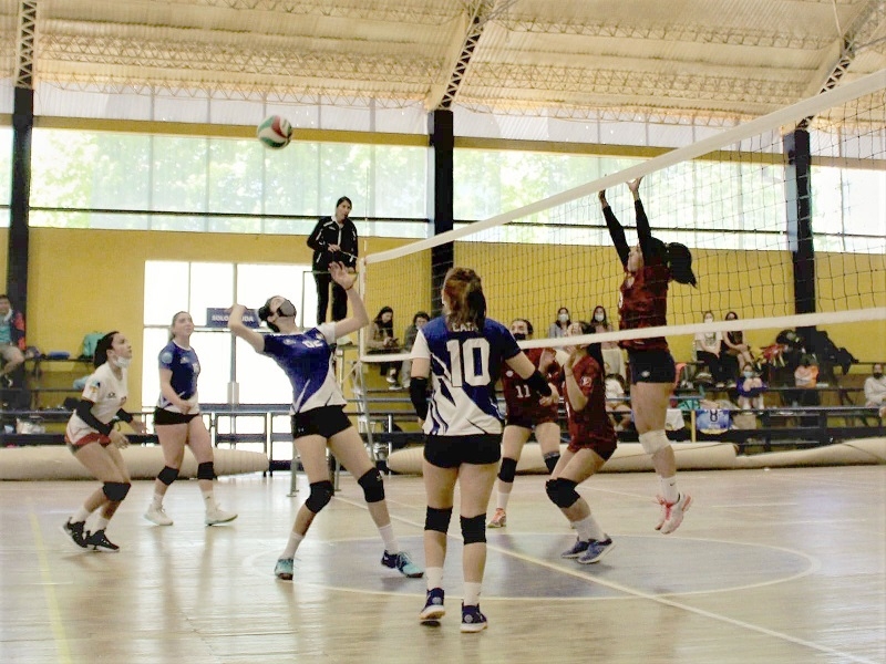 En el vóleibol : Leonas del Maule de Linares rugieron fuerte en el campeonato UCM Talca