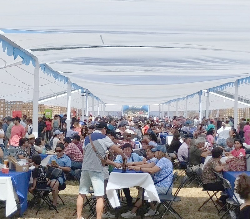  Fiesta del criancero en la precordillera de Linares  