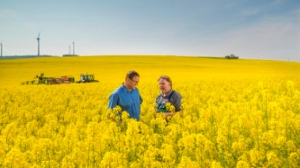 Abejas en el sur de Chile: sostenibilidad y sustentabilidad de la mano de la tecnología, está presente en Chile