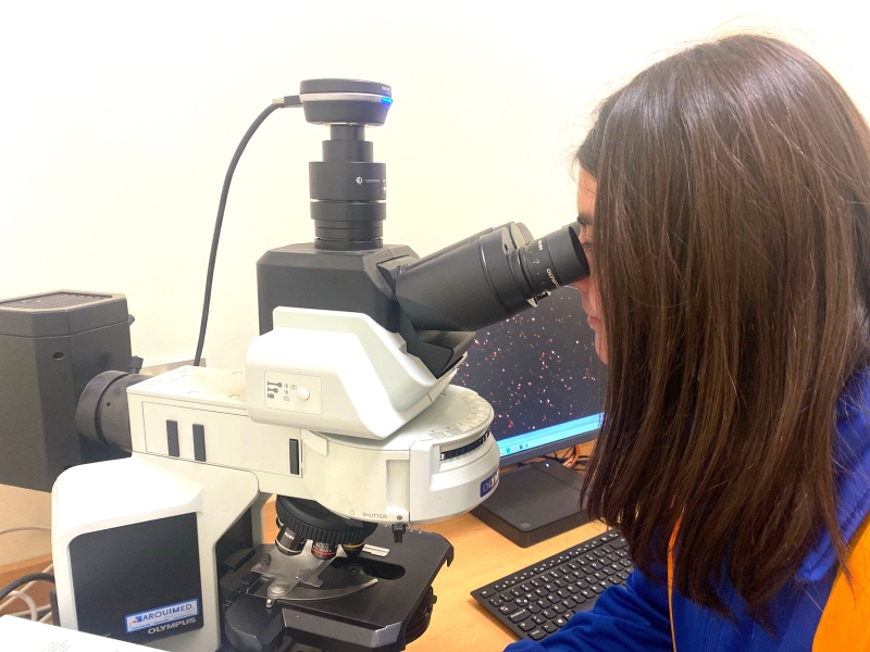 Escolares maulinos se capacitarán en investigación e innovación