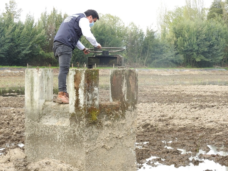 Delegado de Linares y Director Regional de Indap encabezaron visita inspectiva a obras de revestimiento de canales en Longaví