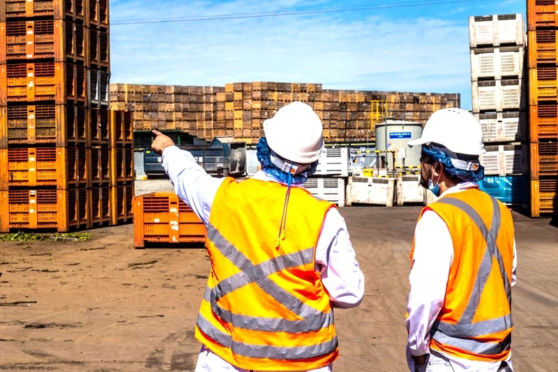 Crece la tasa de participación en el mercado laboral entre los habitantes del Maule