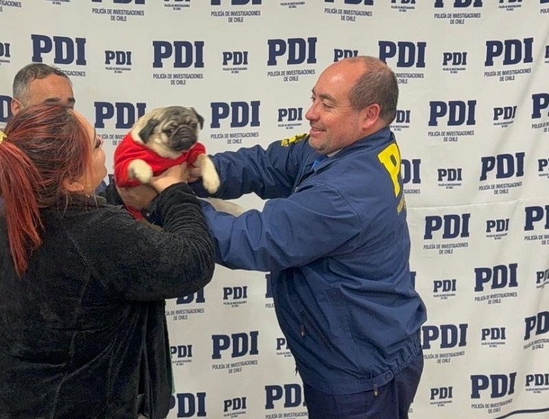 PDI de Linares recupera mascota de contención emocional