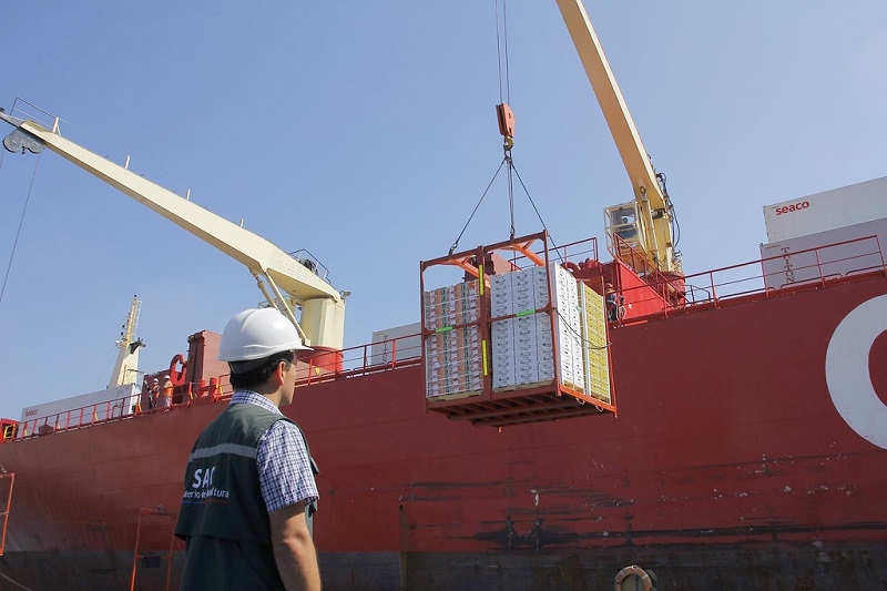 Chile avanza hacia la certificación fitosanitaria 100 % digital con China