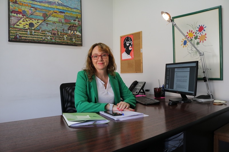 Ruralidades en el proceso constituyente