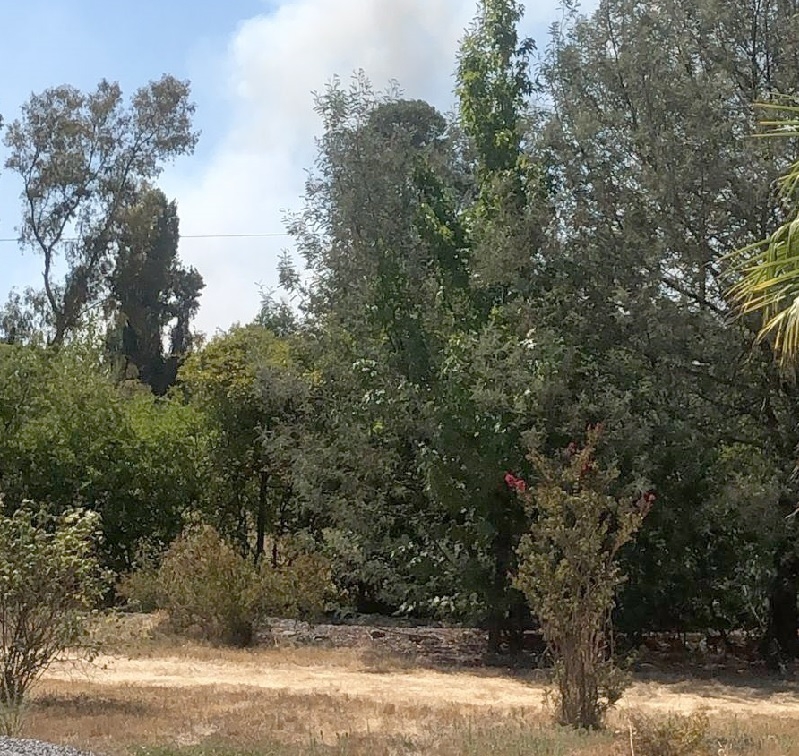 Longaví: incendio forestal movilizó equipos de emergencia en sector Cerrillos