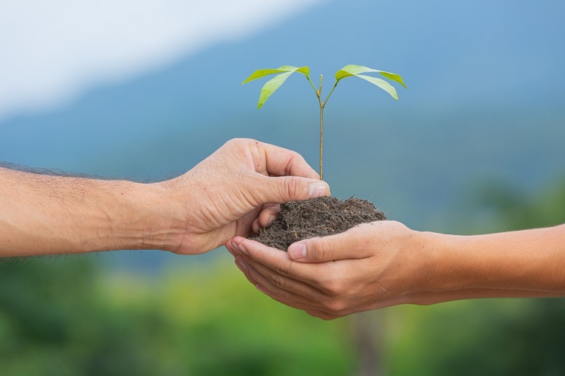 Participación y transparencia, claves para la remediación de suelos