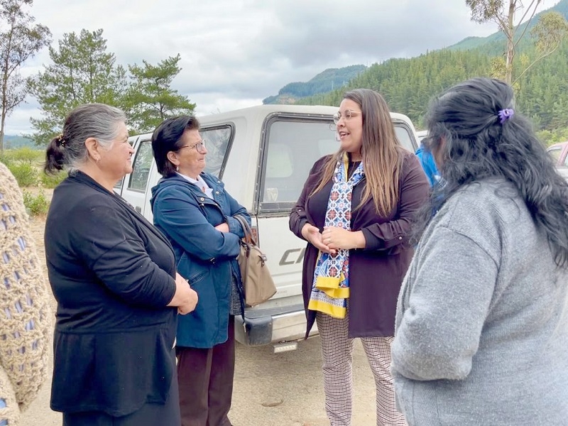 Delegada González destaca conjunto de medidas económicas que implementará el Gobierno: “Van en directo apoyo de las familias"