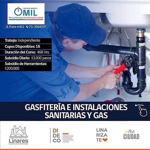 OMIL de la Municipalidad de Linares ofrece cursos gratuitos
