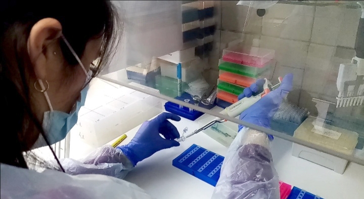 Laboratorio del Hospital de Linares cumple 1 año Realizando Exámenes PCR para Covid 19