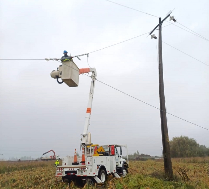 Robos de cables dejaron sin luz a 22.500 clientes en cuatro comunas del Maule