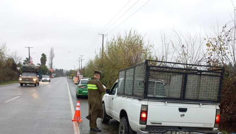 Linares: Finaliza restricción de acceso a la ruta l-45 en Puente Tres Arcos