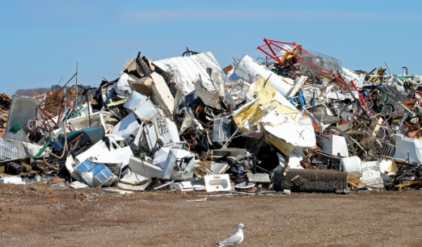 Hasta 540 días de presidio y más 250 mil pesos de multa arriesgan quienes arrojen basura en sitios eriazos y espacios públicos.