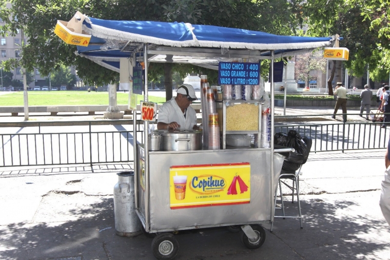  Analizan situación del trabajo informal en Chile