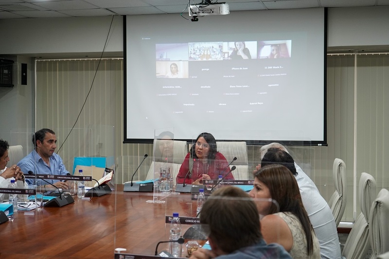 Seremi de Gobierno presenta ante el CORE las bases administrativas del Fondo de Medios 2023