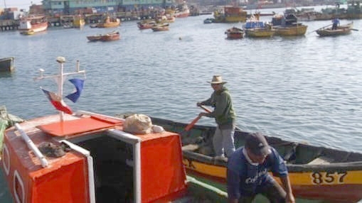 Diputado Sepúlveda (PR) tras aprobar fraccionamiento del 52% de la merluza para la pesca artesanal: Nos hubiera gustado más, pero lo valoramos