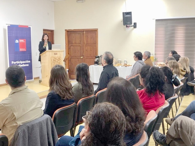 Seremi del Medio Ambiente llama a participar en Consulta Pública por revisión de Norma Olores para Plantas de Celulosa