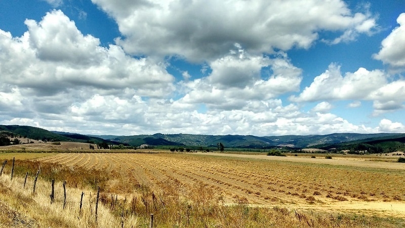 Invitan a taller sobre herramientas agronómicas contra el cambio climático 