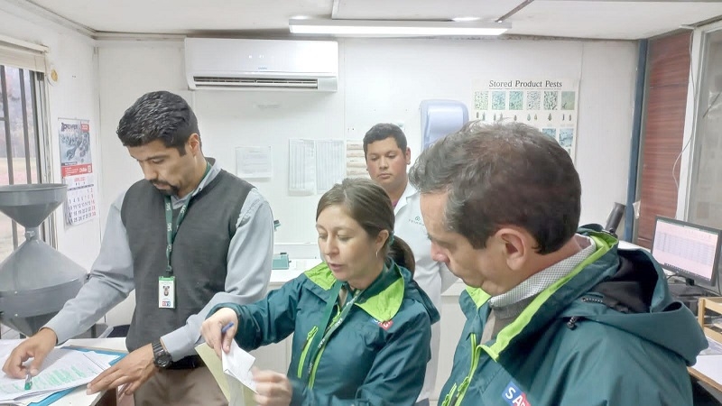 En época de vendimia, fiscalizan poder comprador de uva