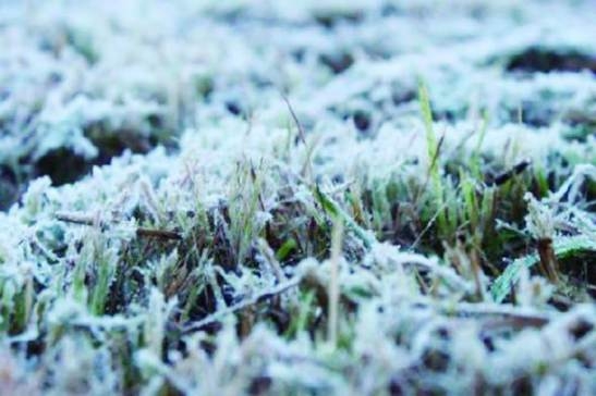 Plan Invierno 2025: Minagri refuerza medidas para proteger al sector frente a heladas, lluvias e inundaciones