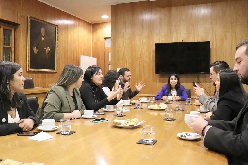 Estudiantes de la UTalca podrán realizar pasantías en el INDH     
