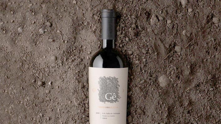 Conoce los 100 mejores vinos chilenos de este 2021 elegidos por el crítico más influyente del mundo