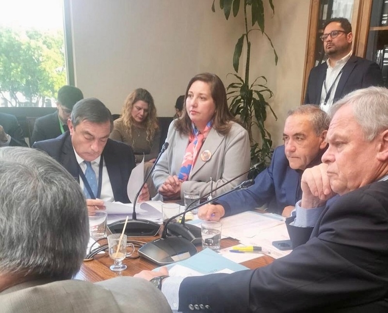  Senadora Vodanovic (PS) por fraccionamiento: “Pediré al Presidente una propuesta que se cumpla y no sacrifique al sector artesanal”