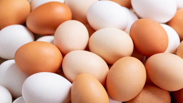 La producción de huevos de consumo disminuyó 3,3% interanualmente en julio de 2023 