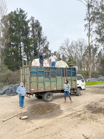 Productores Lecheros y Club de Leones entregaron 70 mil kilos de forraje a ganaderos de la precordillera de Linares       