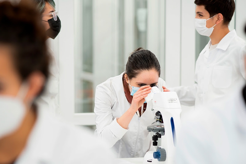 Prácticas clínicas: cómo reforzar integralmente el  desarrollo de los estudiantes de la salud