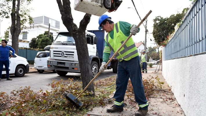 Limpieza de sumideros y poda de árboles: Municipios inician preparativos por lluvias y CGE activa plan de contingencia
