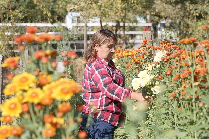 Florista Valeria González de Maule: “El amor por las flores es una herencia familiar”