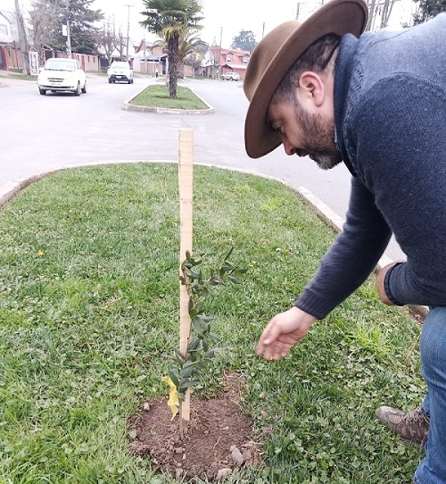 Ex concejal Eduardo Ibáñez valora positivamente la gestión del municipio para plantar árboles nativos en Linares