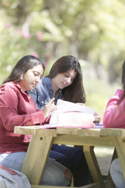 Ad portas a la PAES: Conoce las fechas claves de la admisión 2024 a la educación superior