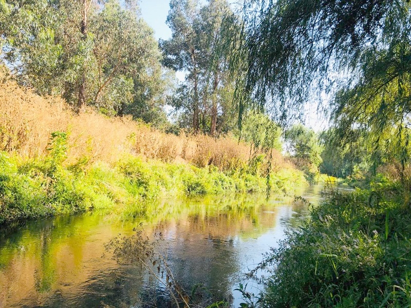 En el Día Mundial de los Humedales Seremi del Medio Ambiente visita humedal urbano de Talca en proceso de declaratoria