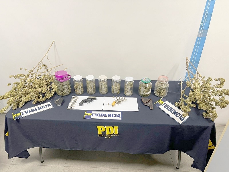  Imputado fue formalizado en Linares por cultivo de marihuana “indoor” y tenencia de armas de fuego  