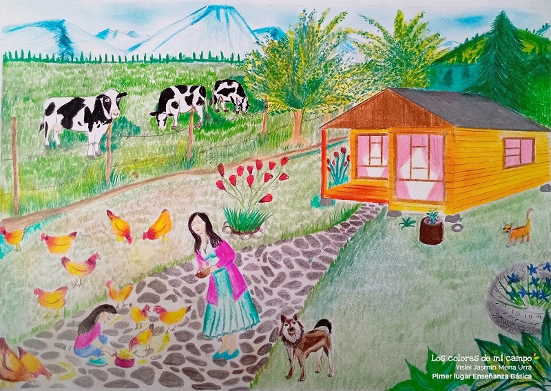 Región del Maule destacó con 11 ganadores en el concurso Historias de Nuestra Tierra  