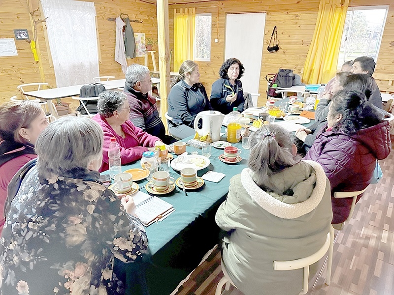 Vecinos del Maule trabajan colaborativamente para ejecutar proyectos comunitarios con Colbún S.A.