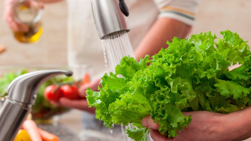 Llaman a garantizar seguridad de los alimentos  para resguardar salud de las personas