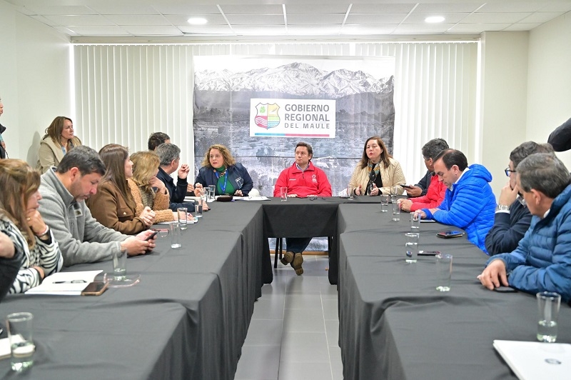 Gobernador y parlamentarios acuerdan citar al ministro de Energía para hacer frente a la crisis de infraestructura eléctrica en el Maule