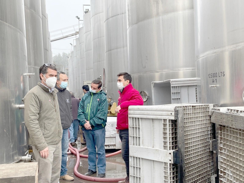 Seremi de Agricultura y SAG fiscalizan venta de alcoholes previo a Fiestas Patrias 