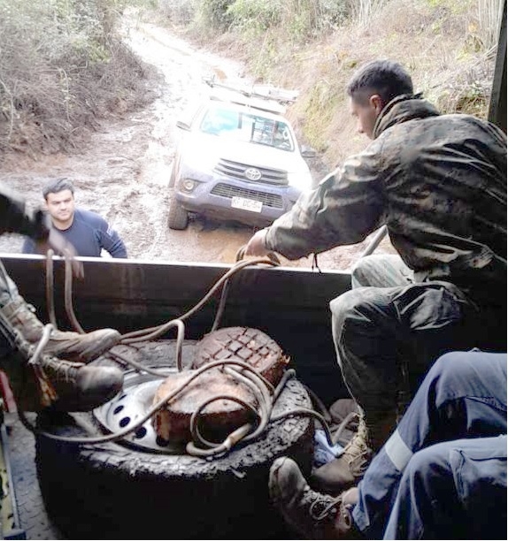 Luzlinares recupera servicio para casi 2 mil familias en precordillera de Linares