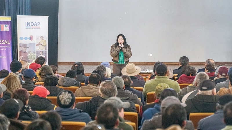 Productores de berries de Yerbas Buenas y Colbún recibieron incentivos del convenio entre INDAP y el gobierno regional del Maule