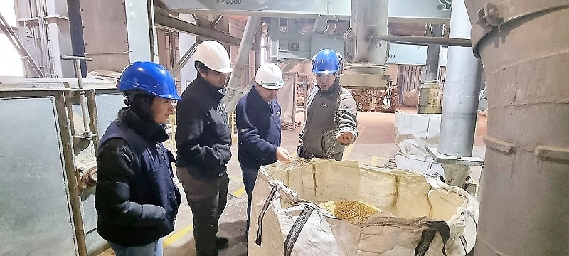 Llaman a maiceros de INDAP a entregar su cosecha en COTRISA